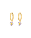 EMAILLE DAISY  Creolen Lila