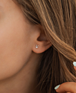 TOPAZ BUNNY  Ohrstecker Silber