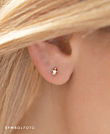 SEA TURTLE Ohrstecker|14K Gold