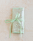 TRAVEL CASE  Mint